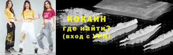 индика Арсеньев