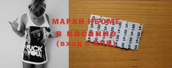 индика Арсеньев