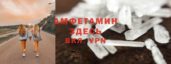 индика Арсеньев