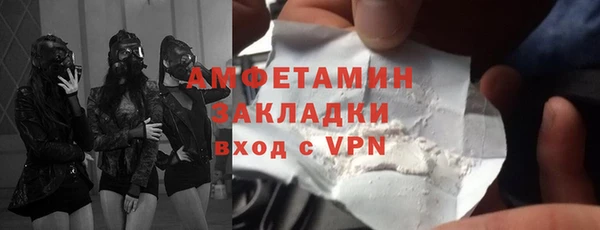 индика Арсеньев