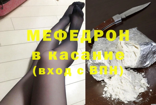 индика Арсеньев