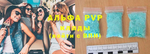 индика Арсеньев
