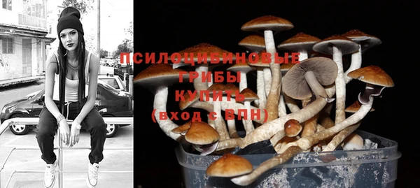 индика Арсеньев