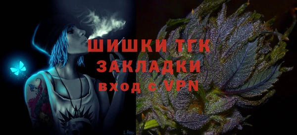 индика Арсеньев