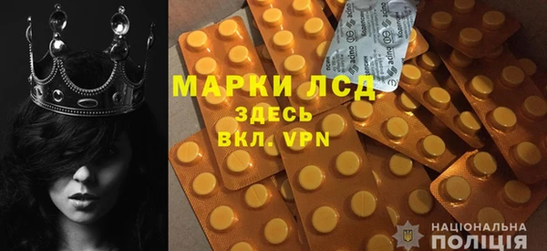 индика Арсеньев